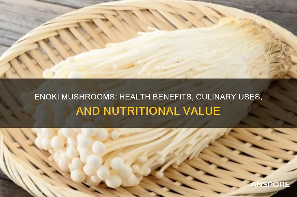 what are enoki mushrooms good for