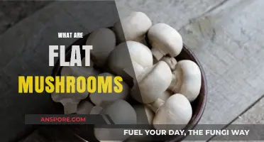 Mushroom Basics: Flat Mushrooms Explained