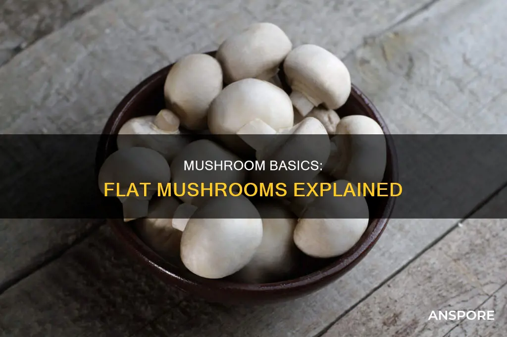what are flat mushrooms