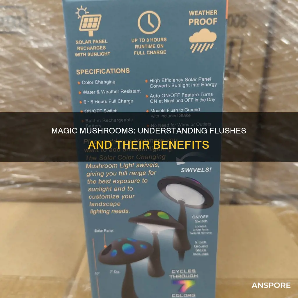 what are flushes mushrooms