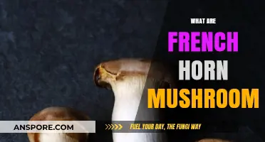 French Horn Mushrooms: A Tasty Treat