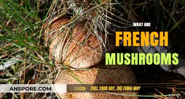 The Magical World of French Mushrooms