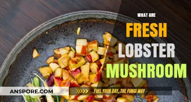 Lobster Mushrooms: Fresh, Flavorful, and Healthy