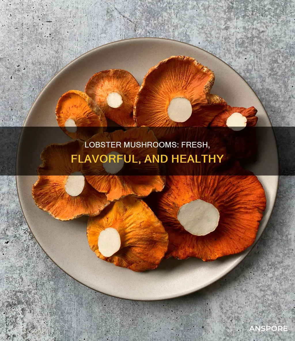 what are fresh lobster mushroom