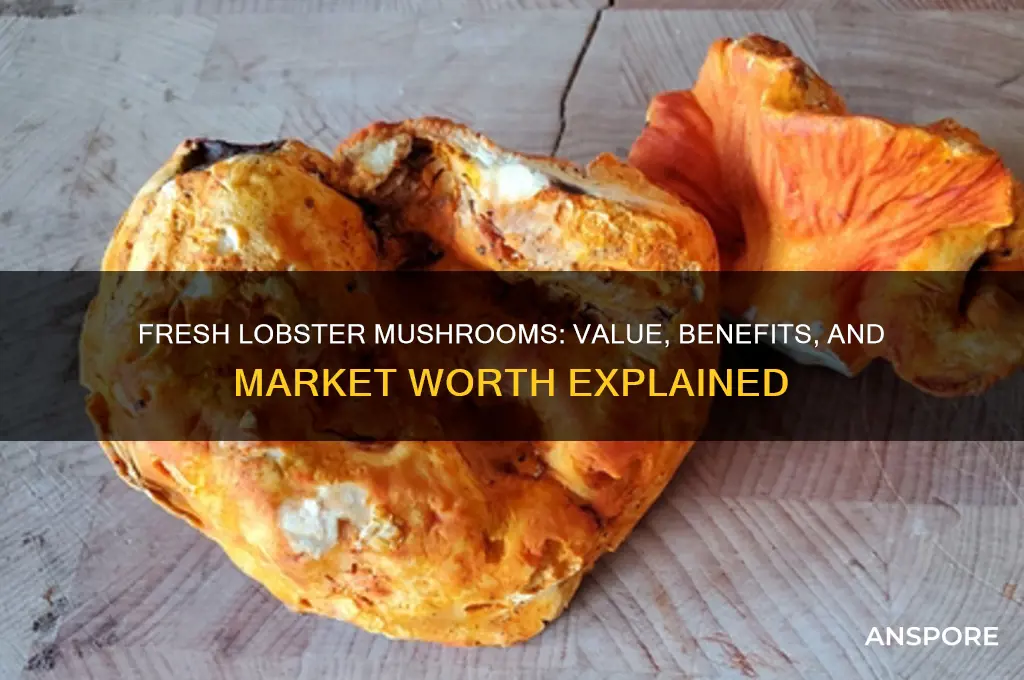 what are fresh lobster mushrooms worth