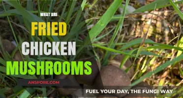 Fried Chicken Mushrooms: Tasty, Healthy, and Nutritional