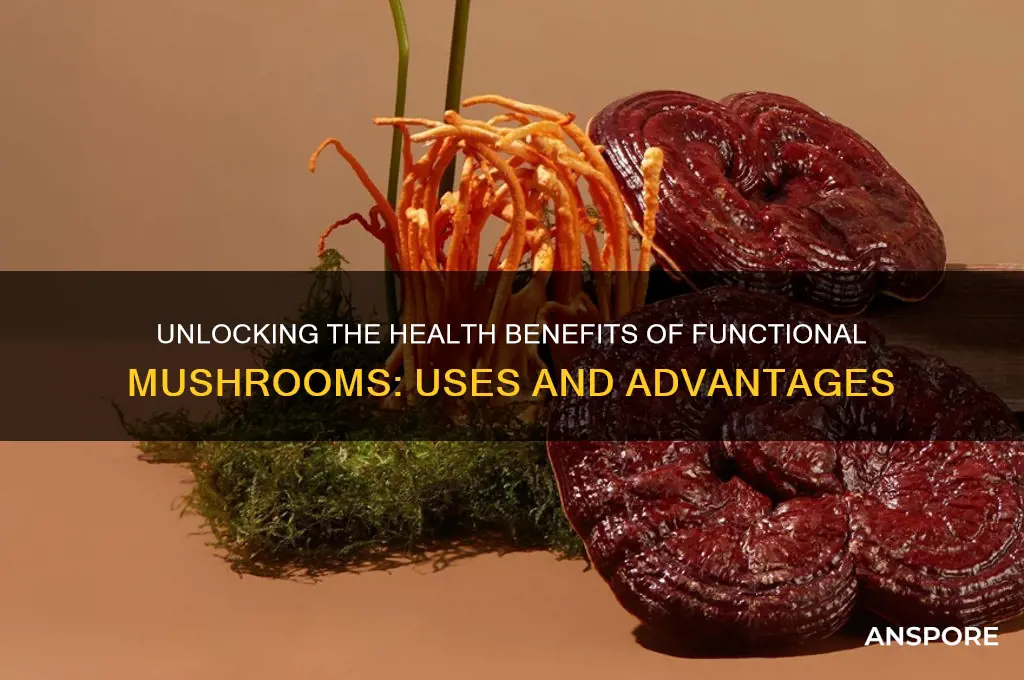 what are functional mushrooms good for