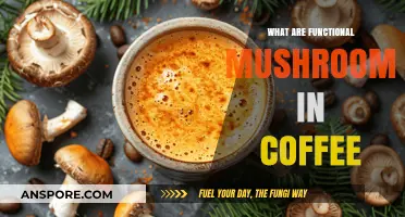 Functional Mushrooms in Coffee: Boosting Energy and Focus Naturally