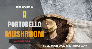 Understanding Portobello Mushroom Gills: Structure, Function, and Culinary Uses