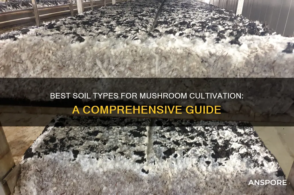 what are good casing soils for mushrooms