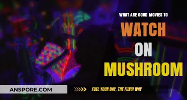 Psychedelic Cinema: Top Mushroom-Friendly Movies for a Mind-Bending Trip