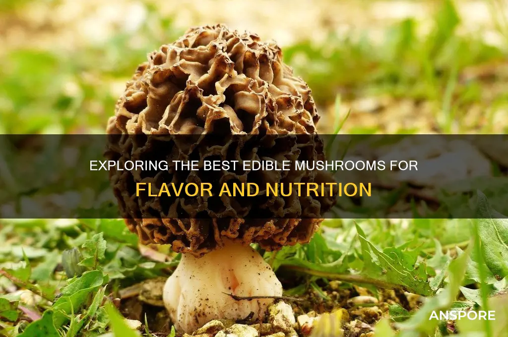 what are good mushrooms