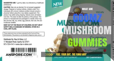 Goomz Mushroom Gummies: A Natural Health Boost