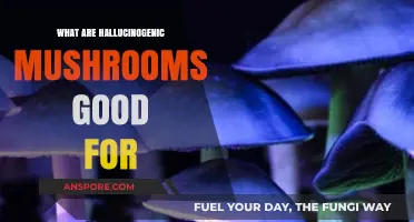 Exploring Hallucinogenic Mushrooms: Potential Benefits and Therapeutic Uses