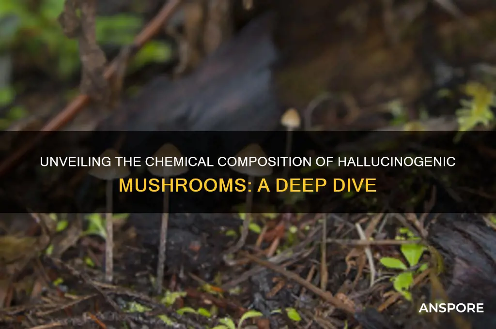 what are hallucinogenic mushrooms made of