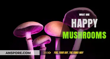 Happy Mushrooms: A Guide to Their Magic