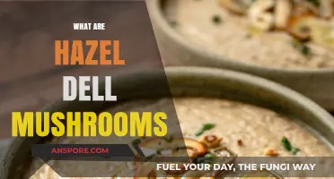Hazel Dell Mushrooms: A Forager's Delight