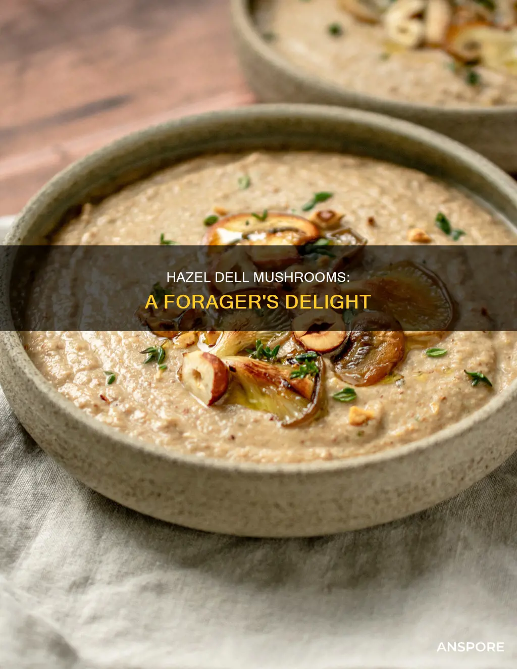 what are hazel dell mushrooms