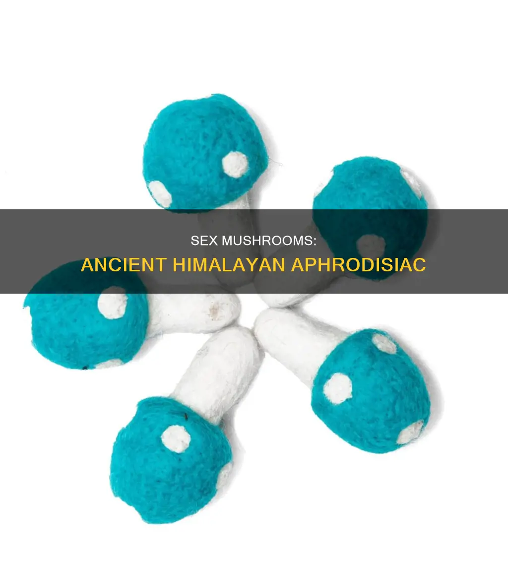 what are himalayan sex mushrooms