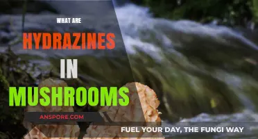 Hydrazines: The Poisonous Compound in Mushrooms