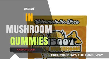 Mushroom Gummies: Natural Superpowers in a Gummy