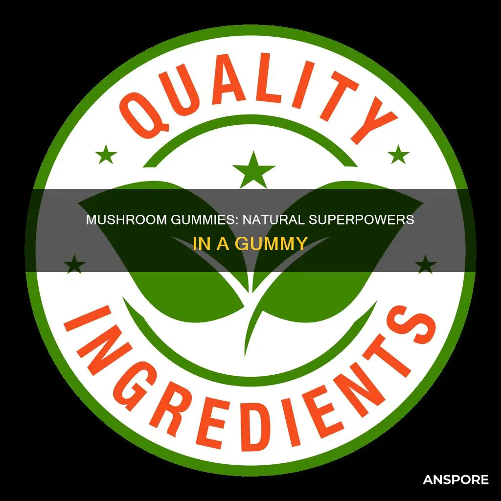 what are in mushroom gummies