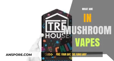 Mushroom Vapes: What's in the Magic?