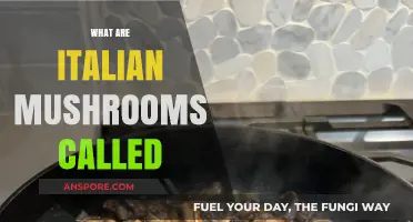 Italian Mushrooms: What Are They Called?