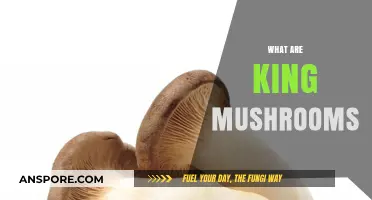 King Mushrooms: A Tasty, Healthy Treat