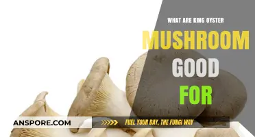 King Oyster Mushrooms: Health Benefits, Culinary Uses, and Nutritional Value