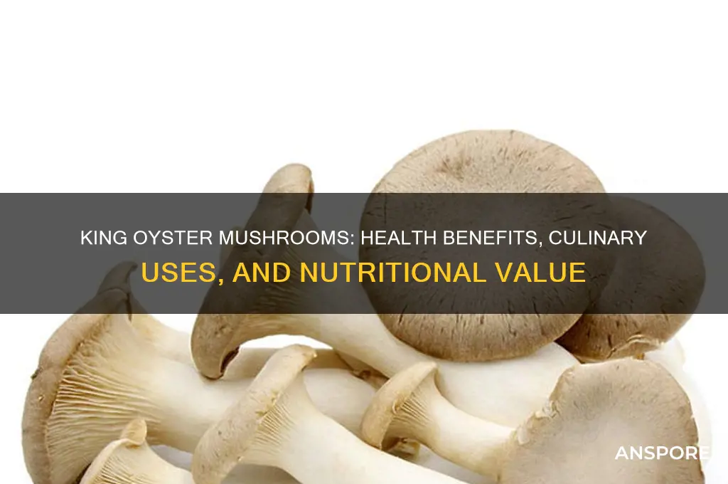 what are king oyster mushrooms good for