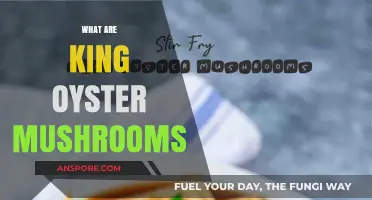 King Oyster Mushrooms: What Are They?