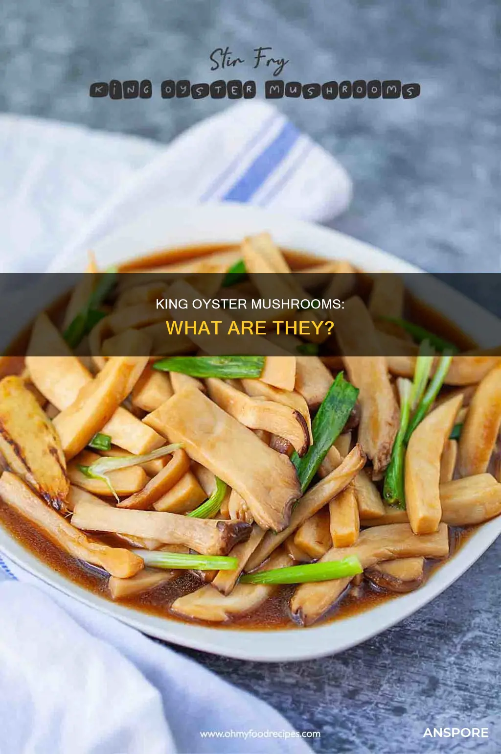 what are king oyster mushrooms