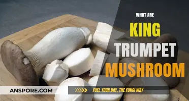 King Trumpet Mushrooms: A Tasty, Healthy Treat