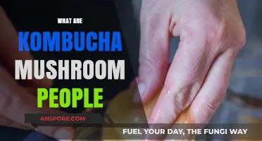 Kombucha Mushroom People: Who Are They?