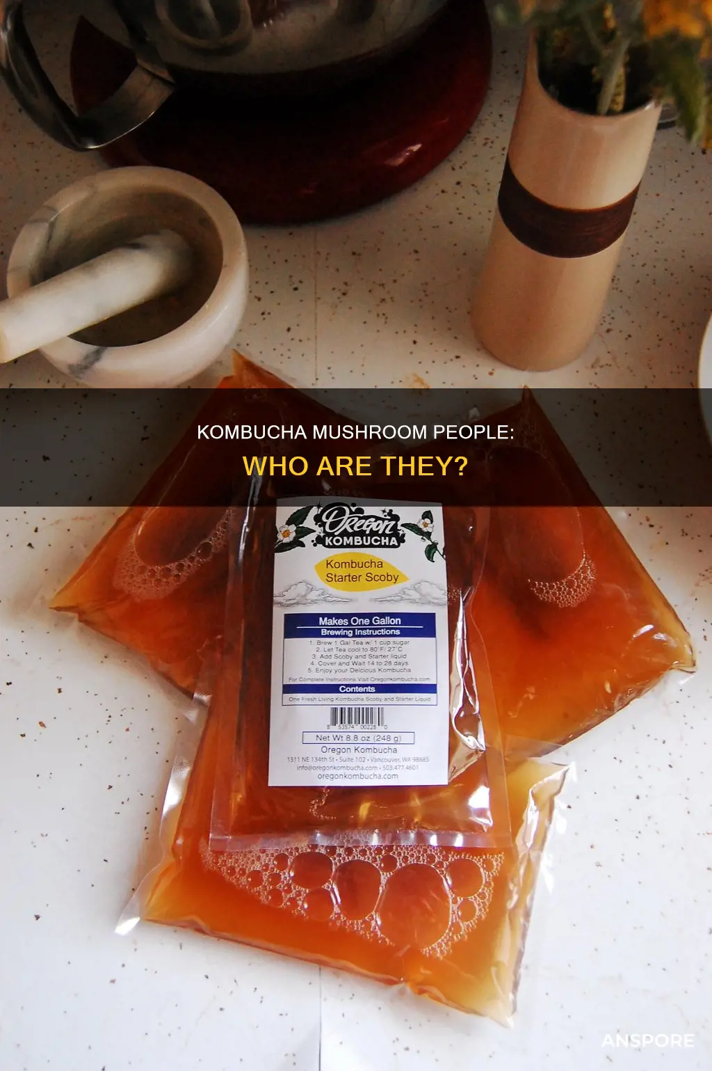 what are kombucha mushroom people