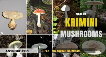 Krimini Mushrooms: The Ultimate Guide
