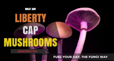 The Magic of Liberty Cap Mushrooms