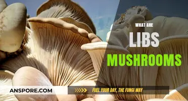 The Magic of Libs Mushrooms: Nature's Wonder
