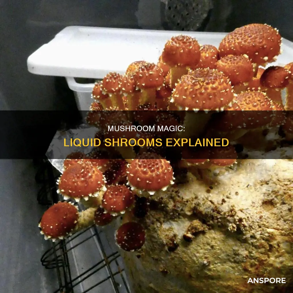 what are liquid mushrooms