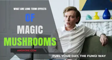 Exploring the Lasting Impact of Magic Mushrooms on Mind and Body
