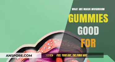 Magic Mushroom Gummies: Benefits, Uses, and Wellness Potential Explained