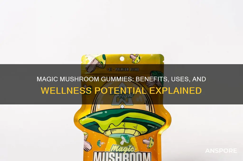 what are magic mushroom gummies good for