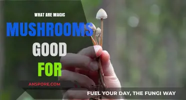 Exploring the Potential Benefits of Magic Mushrooms for Mind and Body