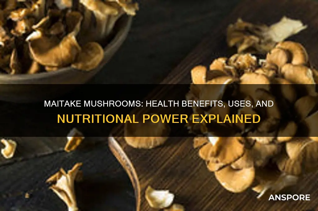 what are maitake mushrooms good for