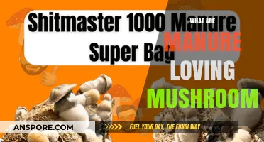 Manure-Loving Mushrooms: Nature's Superb Recyclers