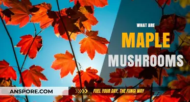 Mushroom Magic: Unveiling Maple Mushrooms