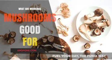 Medicinal Mushrooms: Unlocking Natural Health Benefits and Wellness Potential