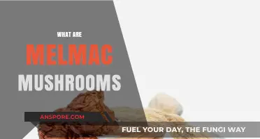 The Magic of Melmac Mushrooms