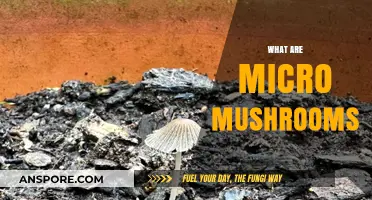 Micro Mushrooms: Nature's Tiny Powerhouses